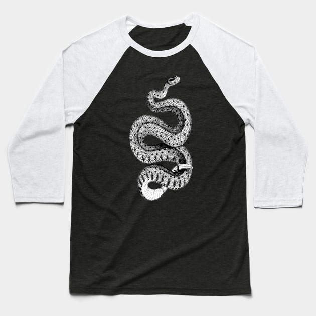 Horned Rattle snake Baseball T-Shirt by Blacklinesw9